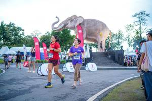 BIB: 
                            <button type="button" onclick="openModal(26551696)" class="btn btn-primary btn-sm float-right btn-popup" data-toggle="modal" data-target=".modal-high-quality">
                        <i class="fas fa-shopping-cart"></i> Add to Cart
                    </button>
                                            <button type="button" onclick="isThisMe(26551696, true)" class="btn btn-success btn-sm float-right btn-popup btn-isme hidden" data-toggle="tooltip" data-placement="bottom" title="นี่คือรูปของคุณใช่ไหม คลิกที่นี่เพื่อเอาเข้าอัลบั้ม">
                        <i class="fas fa-plus"></i> Add to album
                    </button>
                    <button type="button" onclick="isThisMe(26551696, false)" class="btn btn-warning btn-sm float-right btn-popup btn-isnotme hidden">
                        <i class="fas fa-ban"></i> Remove from album
                    </button>